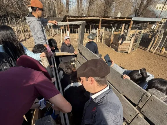 inseminacion-artificial-para-pequenos-ganaderos-abierta-la-i