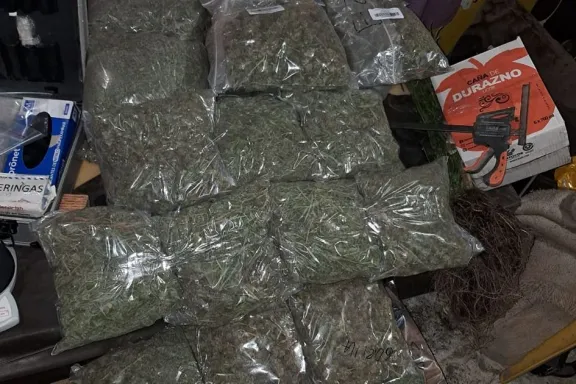 golpe-al-narcotrafico-en-neuquen-incautan-droga-valuada-en-2