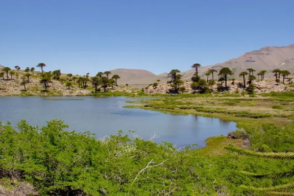 laguna-escondida-el-espejo-de-agua-oculto-entre-pehuenes-que