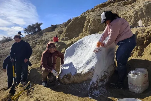 rescatan-fosiles-de-un-gliptodonte-hallados-en-el-valle-del-