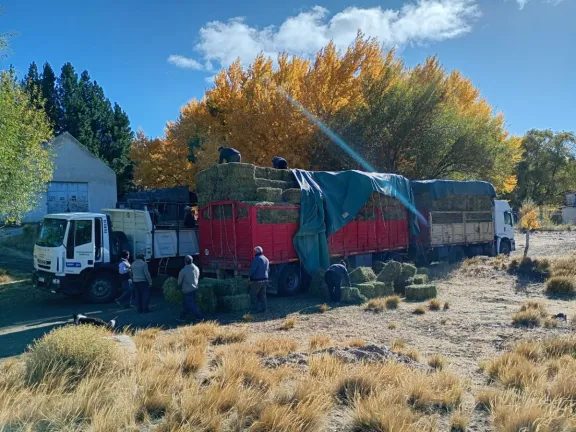 fondos-rotatorios-la-provincia-refuerza-el-apoyo-a-productor