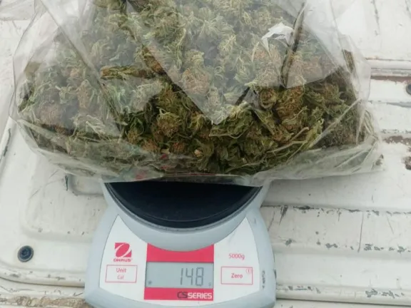 secuestran-casi-200-gramos-de-droga-tras-un-violento-episodi