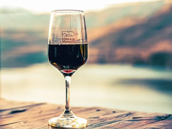 vino-a-la-montana-la-feria-patagonica-que-reune-bodegas-de-n