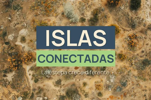 las-islas-verdes-de-la-estepa-como-entienden-los-cientificos