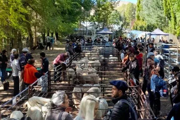 norte-neuquino-de-fiesta-ganadera-ferias-en-las-ovejas-y-gua