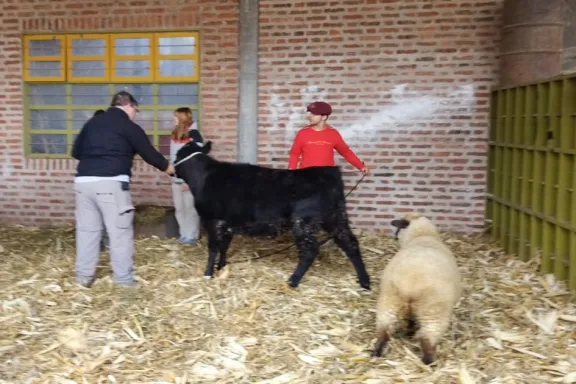 las-escuelas-agropecuarias-de-neuquen-forman-profesionales-c