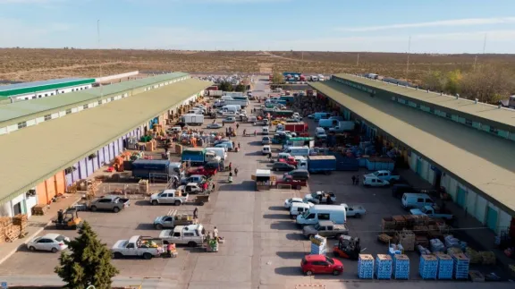el-mercado-concentrador-de-neuquen-busca-operadores-para-dos