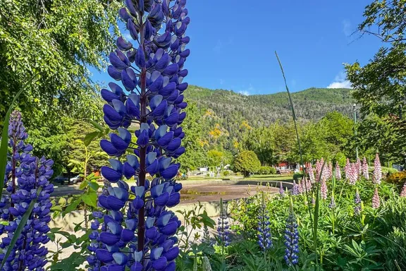primavera-en-san-martin-de-los-andes-cuando-la-nieve-cede-pa