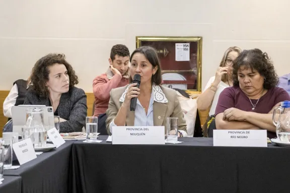 neuquen-estuvo-en-el-centro-del-debate-nacional-sobre-ninez-