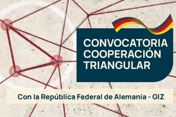 neuquen-busca-proyectos-para-cooperacion-triangular-con-alem