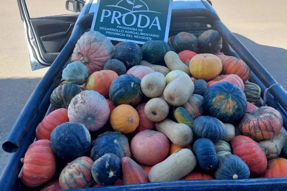 desde-adentro-hacia-afuera-internos-de-senillosa-cosecharon-