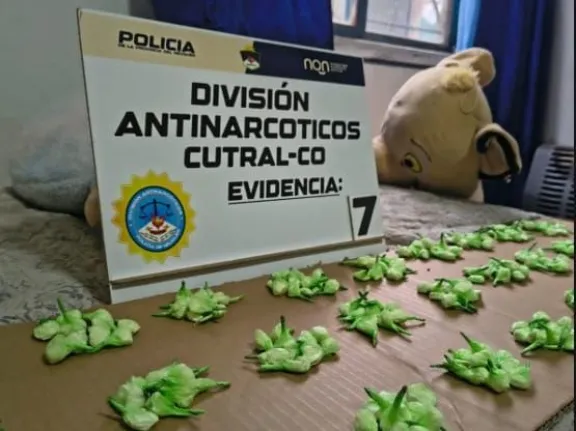 golpe-al-narcomenudeo-en-cutral-co-secuestraron-350-dosis-de