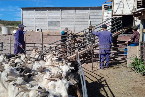refugos-en-emergencia-la-provincia-ya-descargo-mas-de-2400-a