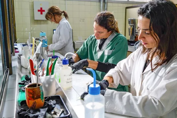 el-lasaf-se-suma-al-programa-nacional-que-certifica-la-calid