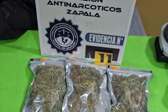 zapala-desarticularon-una-red-de-narcomenudeo-con-dos-kilos-