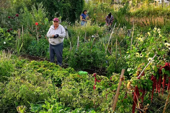 la-huerta-urbana-de-cuenca-xv-tiene-22-anos-y-ahora-es-de-in
