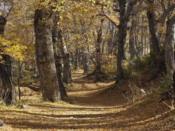 trekking-otonal-en-epulafquen-una-escapada-imperdible-a-la-c