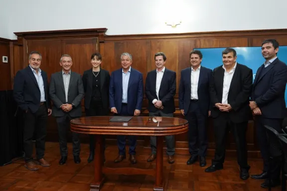 vaca-muerta-operadoras-presentan-22-proyectos-de-diversifica