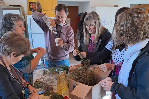 mas-de-60-personas-se-sumaron-al-curso-sobre-plantas-medicin