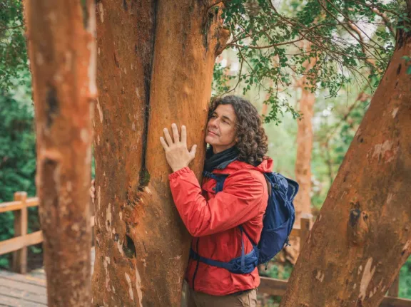mariano-martinez-protagoniza-la-nueva-campana-turistica-de-n