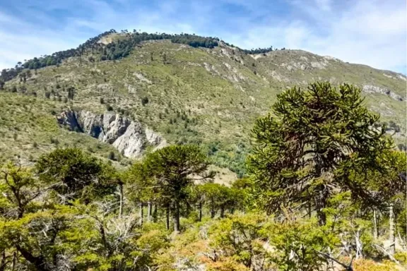 neuquen-destina-135-millones-para-conservar-y-recuperar-sus-