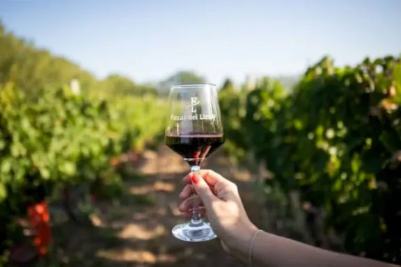 fincas-del-limay-la-bodega-neuquina-que-crece-entre-senillos