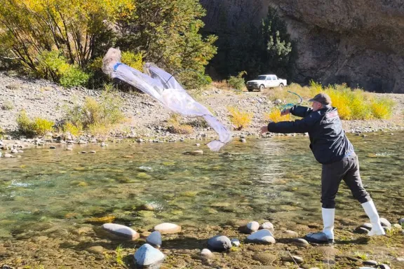 el-cean-monitorea-la-salud-de-los-salmonidos-en-la-cuenca-de