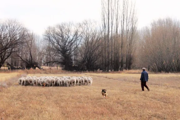 neuquen-adhirio-a-la-ley-nacional-de-riego-agropecuario-con-