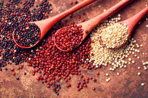 quinoa-criolla-del-alto-neuquen-un-recetario-que-rescata-sab