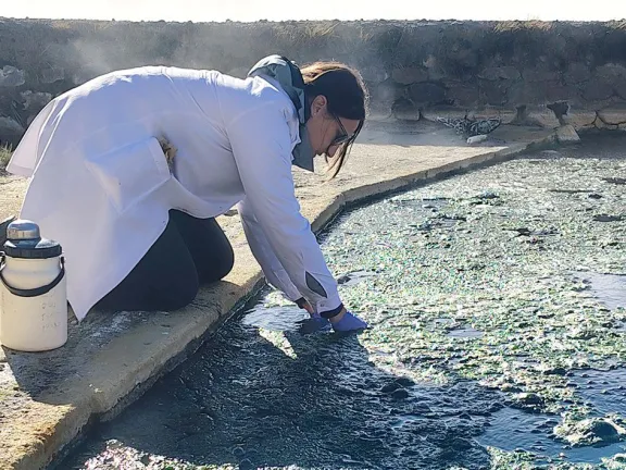 cientificos-de-la-unco-estudian-microorganismos-en-las-lagun