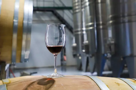 malbec-y-patagonia-neuquen-celebra-el-dia-mundial-del-vino-e