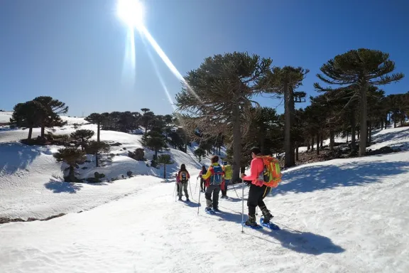 trekking-en-raquetas-de-nieve-en-primeros-pinos-fechas-preci