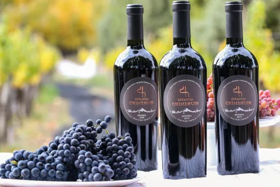 el-sur-neuquino-avanza-en-vitivinicultura-con-vinedos-experi