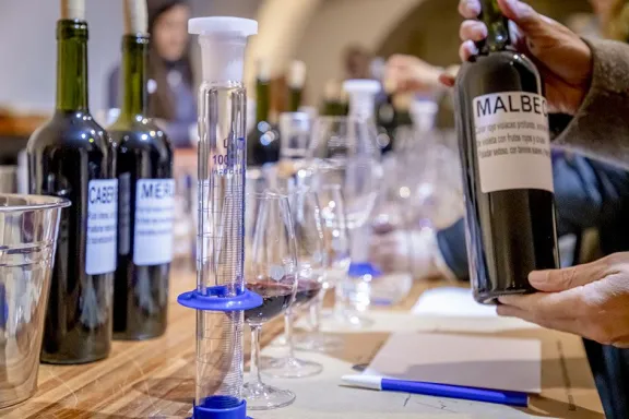 bodega-malma-te-ensena-a-crear-tu-propio-vino-en-san-patrici