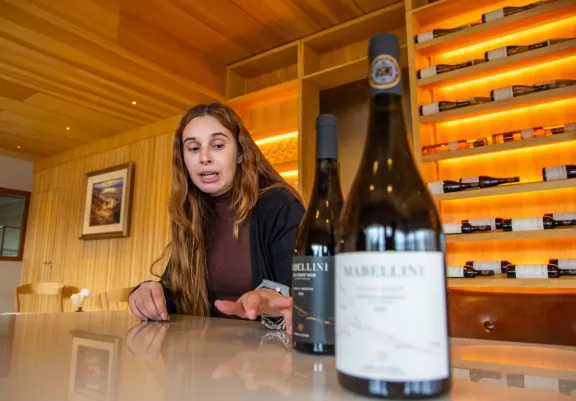 pinot-noir-neuquino-la-cepa-que-encontro-su-identidad-en-la-