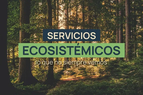 los-servicios-ecosistemicos-de-neuquen-el-valor-oculto-de-la