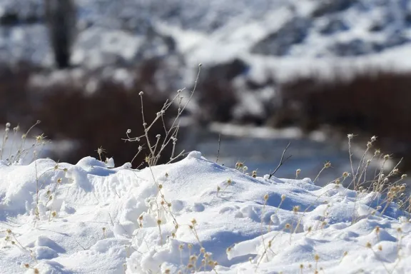 alerta-por-nevadas-y-vientos-fuertes-en-neuquen-este-fin-de-