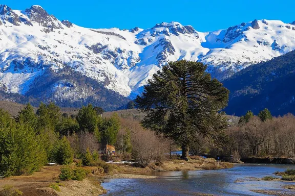 neuquen-celebro-su-identidad-con-un-homenaje-a-marcelo-berbe