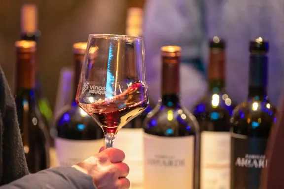 pinot-noir-neuquen-tiene-oficialmente-su-cepa-emblema