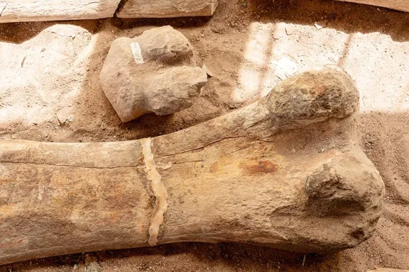 proyecto-dino-la-ruta-paleontologica-que-acerca-90-millones-