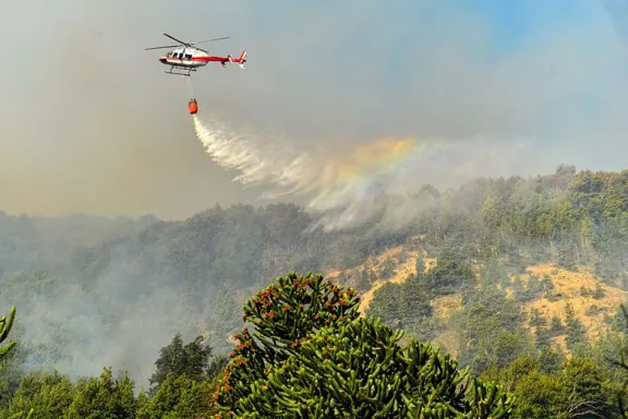 neuquen-extiende-la-emergencia-ignea-por-otro-ano-frente-al-