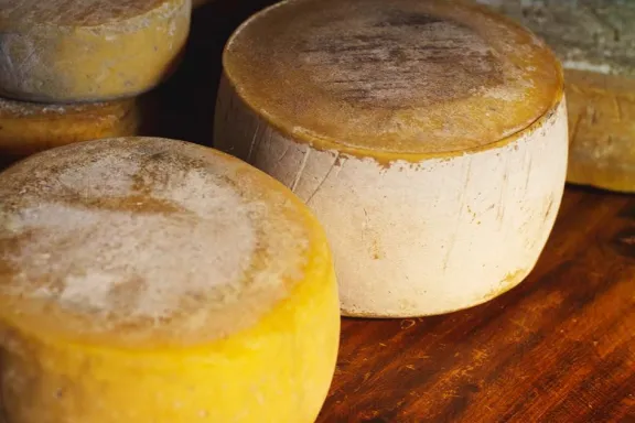junin-de-los-andes-estrena-su-fiesta-del-queso-cordillerano-