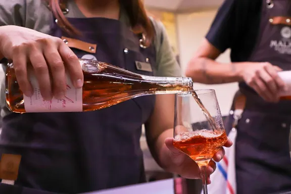 vinos-neuquinos-llegan-a-san-martin-de-los-andes-con-rondas-