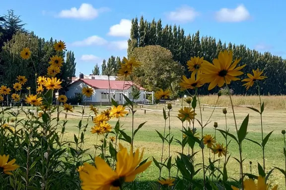 25-anos-de-los-chalets-la-casita-de-te-que-convirtio-una-cha