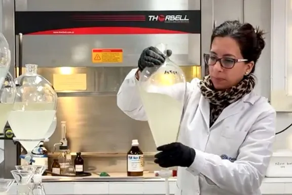 las-mujeres-ya-lideran-mas-del-53-de-la-investigacion-en-neu