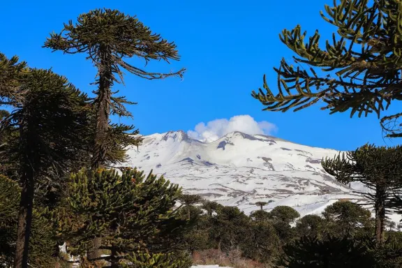 dia-mundial-del-ambiente-neuquen-celebra-su-identidad-natura