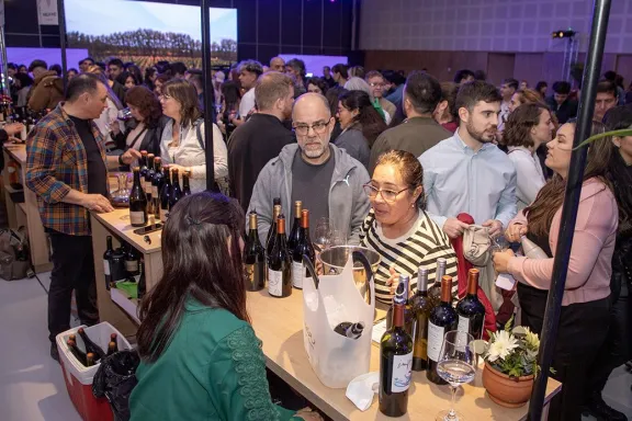 neuquen-apuesta-al-enoturismo-con-el-salon-del-vino-en-el-mn