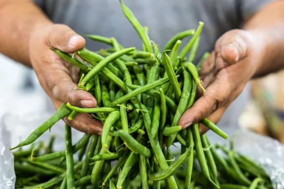 170-establecimientos-aplican-buenas-practicas-agricolas-en-n