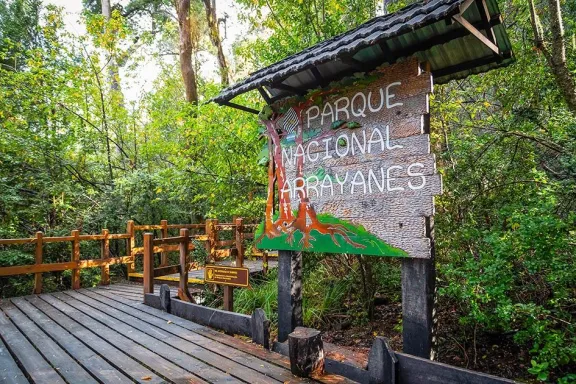 el-bosque-de-arrayanes-la-leyenda-de-disney-que-villa-la-ang