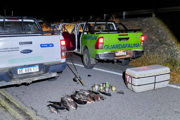 operativo-en-la-cordillera-11-infracciones-y-18-truchas-secu